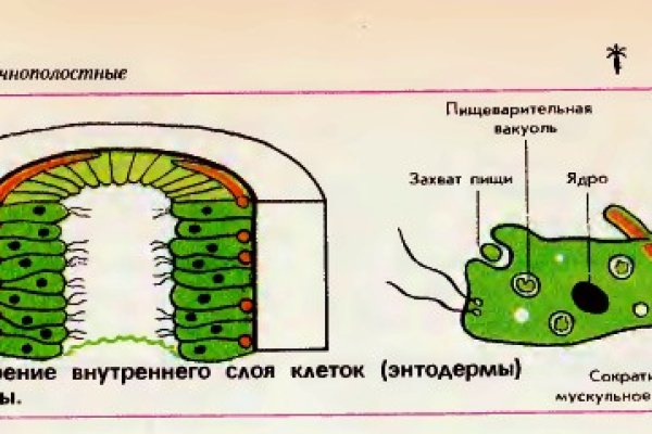 Omg omg onion ссылка