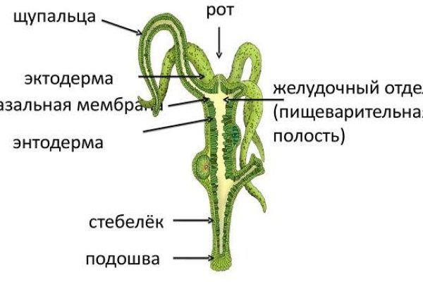 Рабочие ссылки омг